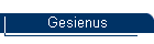 Gesienus